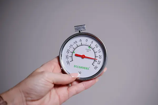 Picture of the fridge-freezer thermometer in the Home Energy Saving Kit.