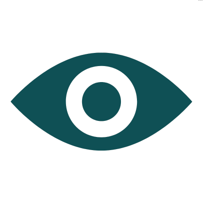 Vision icon