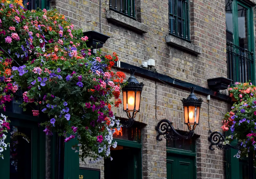 Image of the outside of the Codema office in temple bar showing a brick building and flowes in hanging baskets