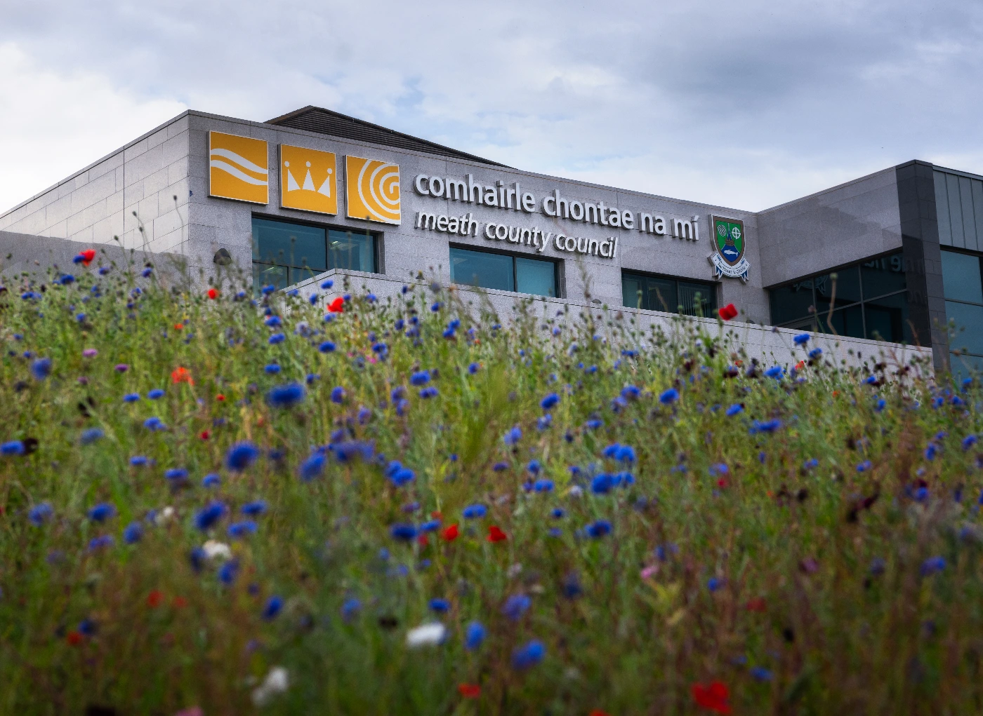 Image of Meath county council offices with wildflowers in the foreground